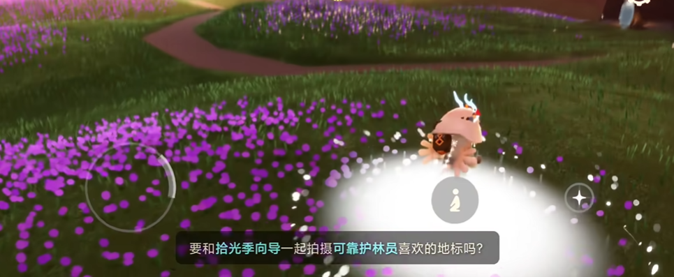 光遇蘑菇圈有什么 光遇蘑菇圈有什么