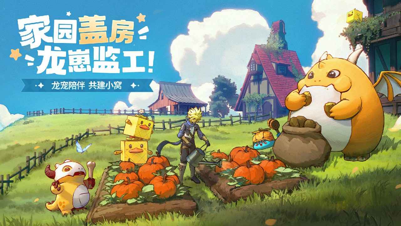 龙骑士学园