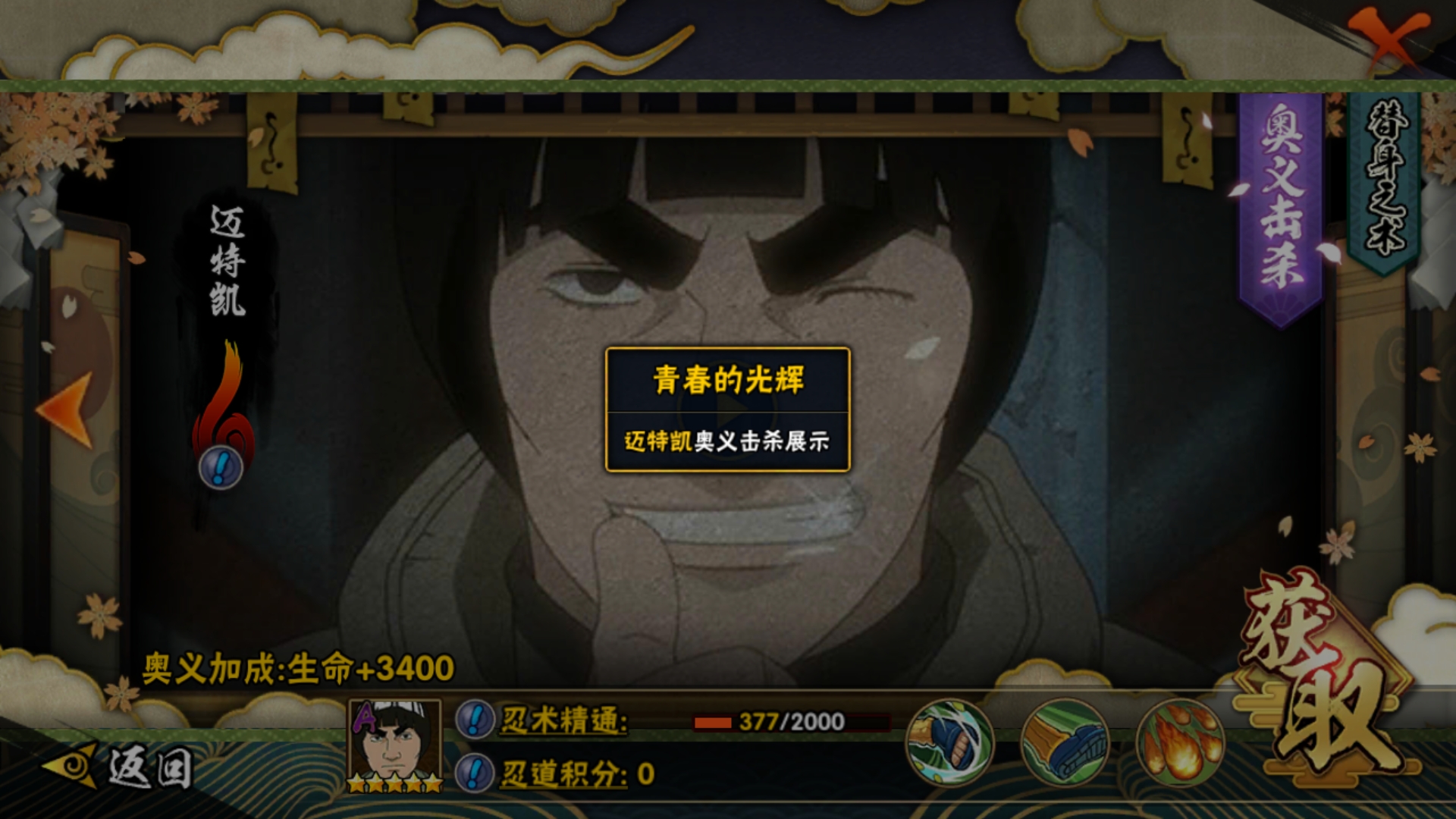 火影忍者土主小李凯阵容怎么样