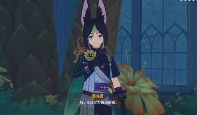 原神提纳里怎么养成