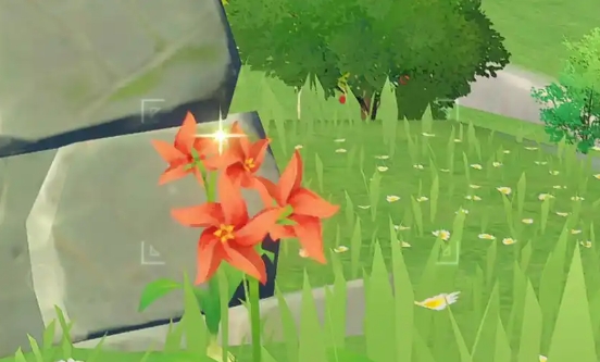 原神风车菊怎么快速收集 原神风车菊怎么快速收集