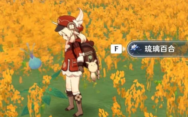 原神琉璃百合怎么快速收集