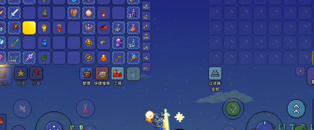 泰拉瑞亚有什么饰品