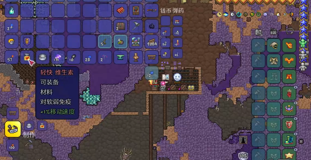 泰拉瑞亚什么饰品比较好