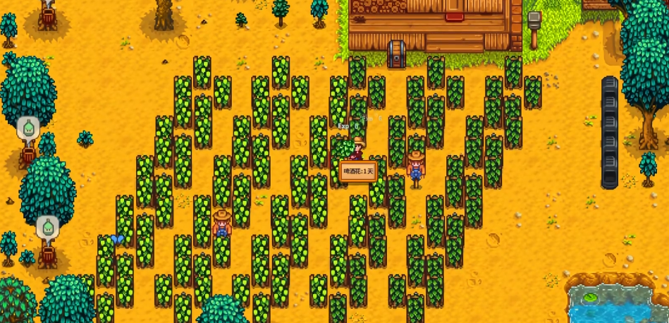 星露谷物语怎么第一年赚一千万