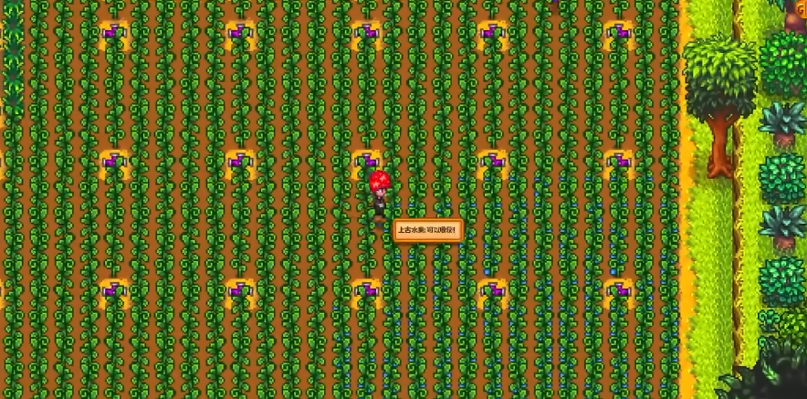 星露谷物语怎么让丈夫干活